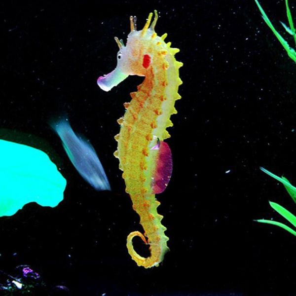 silicone artificial fish tank aquarium ornament water decoration luminous sea horse hippocampus decorations
silicone artificial fish tank aquarium ornament water decoration luminous sea horse hippocampus decorations