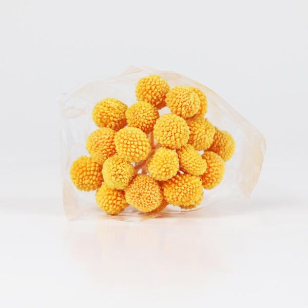 decorative flowers & wreaths real natural preserved golden ball unfading foliage craspedia
decorative flowers & wreaths real natural preserved golden ball unfading foliage craspedia