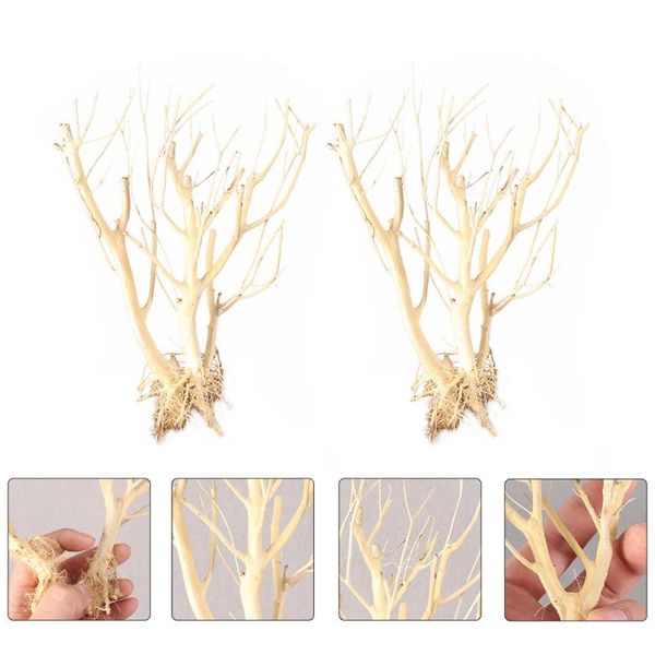 decorations 2pcs ecological aquarium adornment twigs props fish tank ornament (random shape)
decorations 2pcs ecological aquarium adornment twigs props fish tank ornament (random shape)