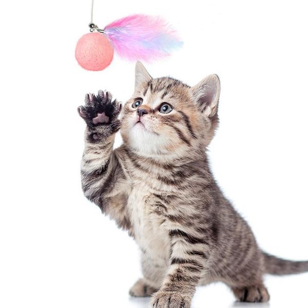 cat toys pet toy interactive teaser wand with ball feather replaceable retractable elastic string kitten funny cats products
cat toys pet toy interactive teaser wand with ball feather replaceable retractable elastic string kitten funny cats products