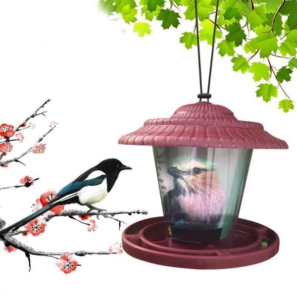 other bird supplies feeder plastic transparent window viewing feeders tray birdhouse pet water hanging mount cage type
other bird supplies feeder plastic transparent window viewing feeders tray birdhouse pet water hanging mount cage type