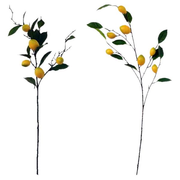 decorative flowers & wreaths artificial branch farmhouse style simulation kitchen decor
decorative flowers & wreaths artificial branch farmhouse style simulation kitchen decor