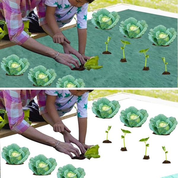 decorative flowers & wreaths ground cover control fabric easy install anti uv driveway flower beds decking membrane outdoor border gard
decorative flowers & wreaths ground cover control fabric easy install anti uv driveway flower beds decking membrane outdoor border gard