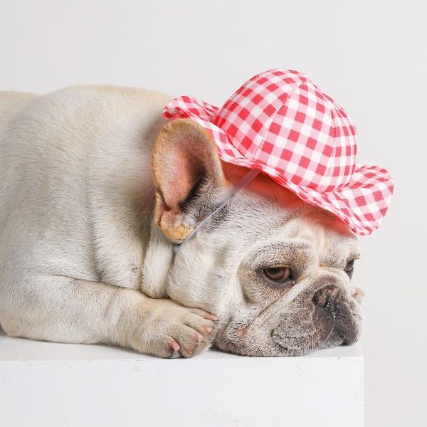 fashion dog hat for small medium dogs summer sun-proof cats plaid hats decor po taking accessories pets apparel
fashion dog hat for small medium dogs summer sun-proof cats plaid hats decor po taking accessories pets apparel