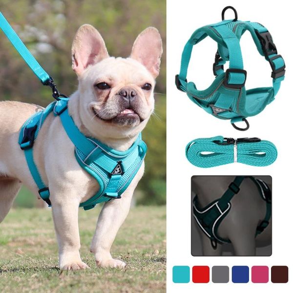 dog collars & leashes pet reflective nylon harness no pull adjustable medium large naughty vest safety vehicular lead walking running
dog collars & leashes pet reflective nylon harness no pull adjustable medium large naughty vest safety vehicular lead walking running