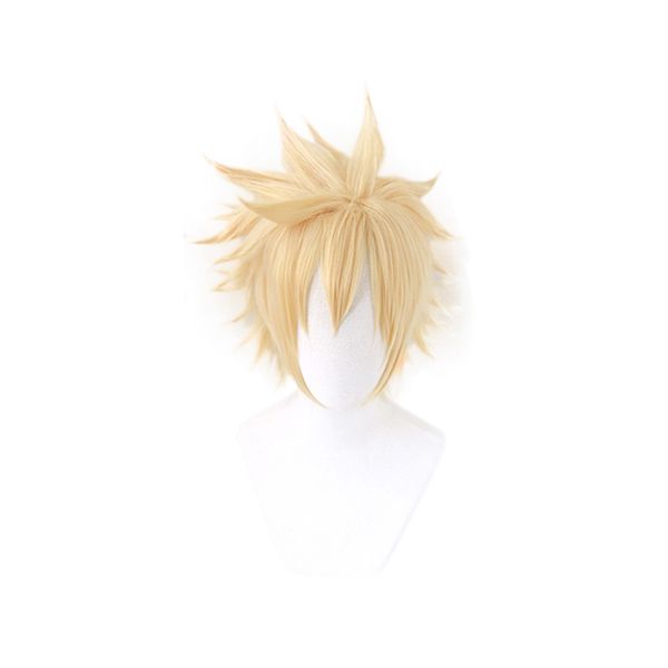final fantasy vii 7 cloud strife cosplay wigs short golden blonde high temperature fiber hairpiece anime costume wig +wig cap, Black
final fantasy vii 7 cloud strife cosplay wigs short golden blonde high temperature fiber hairpiece anime costume wig +wig cap, Black