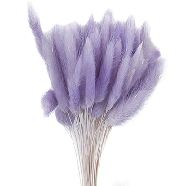 dried flower bouquet artificial lagurus ovatus decoration for home el wedding eig88 decorative flowers & wreaths
dried flower bouquet artificial lagurus ovatus decoration for home el wedding eig88 decorative flowers & wreaths