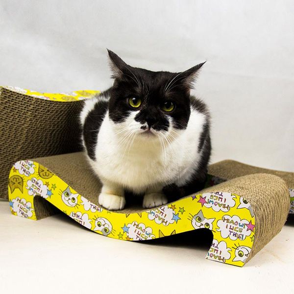 cat toys scratching board claw grinder corrugated paper supplies wear-resistant scratcher interactive pet product tools
cat toys scratching board claw grinder corrugated paper supplies wear-resistant scratcher interactive pet product tools