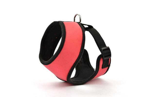 dog collars & leashes 2021 pets adjustable soft harness puppy vest breathable walking collar bright colors
dog collars & leashes 2021 pets adjustable soft harness puppy vest breathable walking collar bright colors