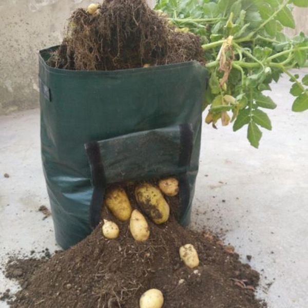potato grow planter pe container bag pouch root plant growing pot side window #1 planters & pots
potato grow planter pe container bag pouch root plant growing pot side window #1 planters & pots