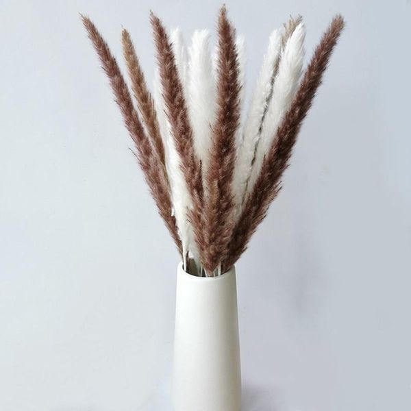 decorative flowers & wreaths preserved eternal plants reed dried white brown pampas grass for festival diy wedding decor home office daily d
decorative flowers & wreaths preserved eternal plants reed dried white brown pampas grass for festival diy wedding decor home office daily d