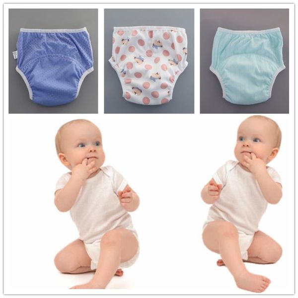 cloth diapers buy 1 get 2 reusable ice silk series potty training pants leakproof happy flute nappies baby washable nappy
cloth diapers buy 1 get 2 reusable ice silk series potty training pants leakproof happy flute nappies baby washable nappy
