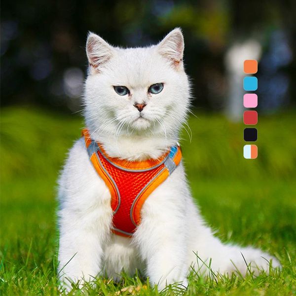 dog collars & leashes cat harness leash set reflective breathable with mesh vest adjustable pet harnesses outdoor accessories
dog collars & leashes cat harness leash set reflective breathable with mesh vest adjustable pet harnesses outdoor accessories