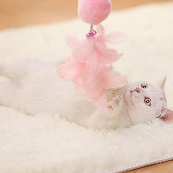 pet toy teaser and exerciser wand for cat kitten, furry ball, colorful bells feather toys
pet toy teaser and exerciser wand for cat kitten, furry ball, colorful bells feather toys