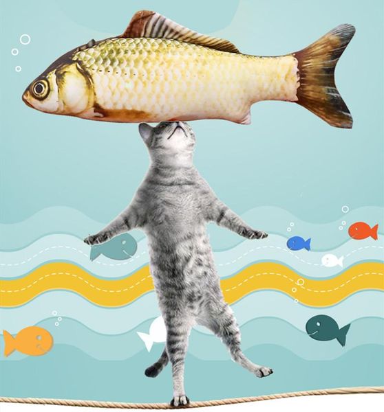 cat toys 2021 carp koi fish shaped pp cotton funny plush exercise scratch play for small pets toy product catnip 
cat toys 2021 carp koi fish shaped pp cotton funny plush exercise scratch play for small pets toy product catnip