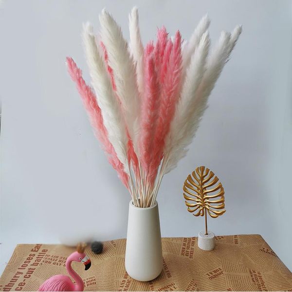 decorative flowers & wreaths 15pcs pampas grass secas grandes flores artificiales 45cm dried bouquet home decor wedding decoration table cen
decorative flowers & wreaths 15pcs pampas grass secas grandes flores artificiales 45cm dried bouquet home decor wedding decoration table cen