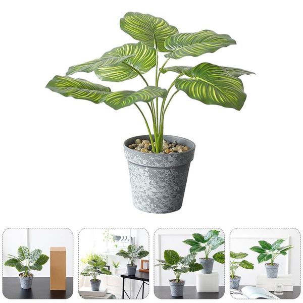 decorative flowers & wreaths 1pc artificial plant bonsai watermelon leaf imitation green
decorative flowers & wreaths 1pc artificial plant bonsai watermelon leaf imitation green