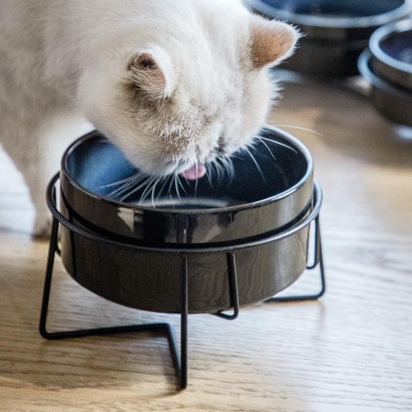 ceramic pet bowl cat puppy feeding supplies dog water feeder durable multiple color option accessories products #p019 bowls & feeders
ceramic pet bowl cat puppy feeding supplies dog water feeder durable multiple color option accessories products #p019 bowls & feeders