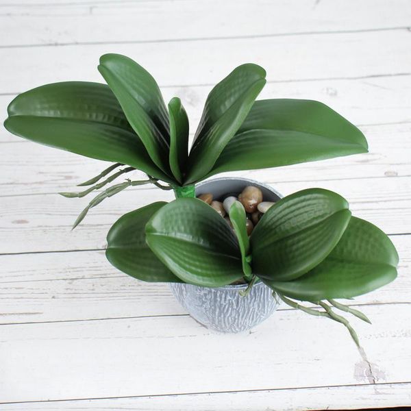 decorative flowers & wreaths artificial plants simulation green moth orchid leaves pu phalaenopsis micro landscape home wedding decoration
decorative flowers & wreaths artificial plants simulation green moth orchid leaves pu phalaenopsis micro landscape home wedding decoration