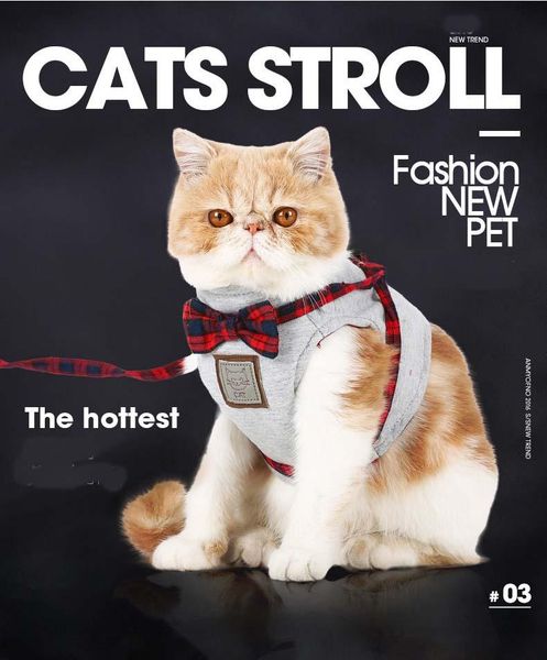 cat collars & leads pacgoth adjustable pet bow tie plaid vest harness with leash lead bowknot puppy chest strap for chihuahua
cat collars & leads pacgoth adjustable pet bow tie plaid vest harness with leash lead bowknot puppy chest strap for chihuahua