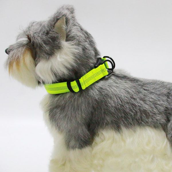 dog collars & leashes pet collar reflective nylon durable adjustable suitable for medium and large supplies
dog collars & leashes pet collar reflective nylon durable adjustable suitable for medium and large supplies