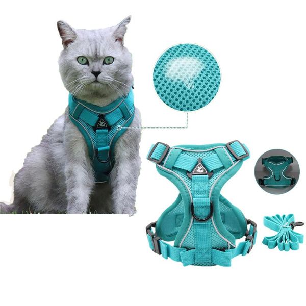 cat collars & leads 2021 sets reflective breathable harness 1.5m leash for dog walk the pets pet product supplies
cat collars & leads 2021 sets reflective breathable harness 1.5m leash for dog walk the pets pet product supplies