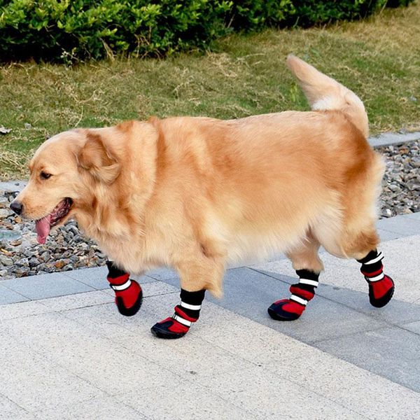 dog apparel reflective shoes socks winter boots footwear rain wear non-slip anti skid pet for medium large dogs pitbull
dog apparel reflective shoes socks winter boots footwear rain wear non-slip anti skid pet for medium large dogs pitbull