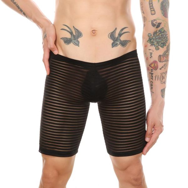 underpants men see-through striped boxer shorts elastic waistband underwear low waist sheer swimming trunks, Black;white
underpants men see-through striped boxer shorts elastic waistband underwear low waist sheer swimming trunks, Black;white