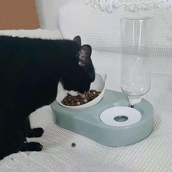 dog bowls & feeders 2in1 food for small dogs water dispenser storage cat with stand automatic feeder pet bowl
dog bowls & feeders 2in1 food for small dogs water dispenser storage cat with stand automatic feeder pet bowl