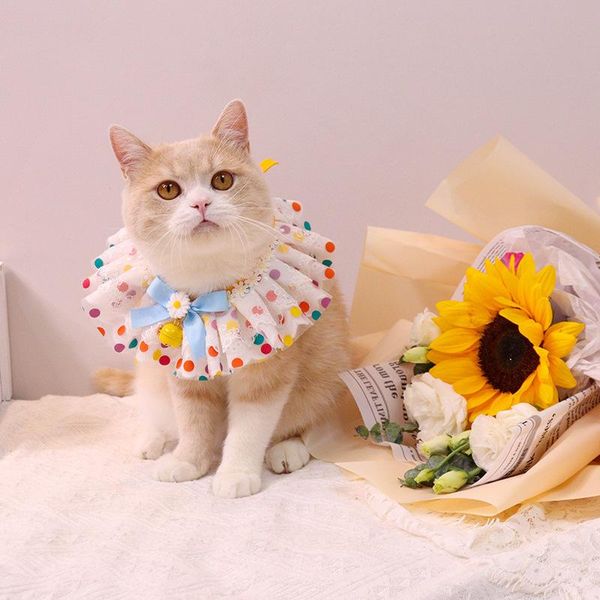 cat costumes pet color spotted daisy bell collar kitten puppies dog lace saliva bib pograph jewelry decoration
cat costumes pet color spotted daisy bell collar kitten puppies dog lace saliva bib pograph jewelry decoration