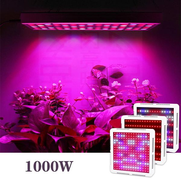 grow lights 1000w phytolamp for indoor plants 240 leds light full spectrum cultivation ir phyto lamp seedling and blooming
grow lights 1000w phytolamp for indoor plants 240 leds light full spectrum cultivation ir phyto lamp seedling and blooming