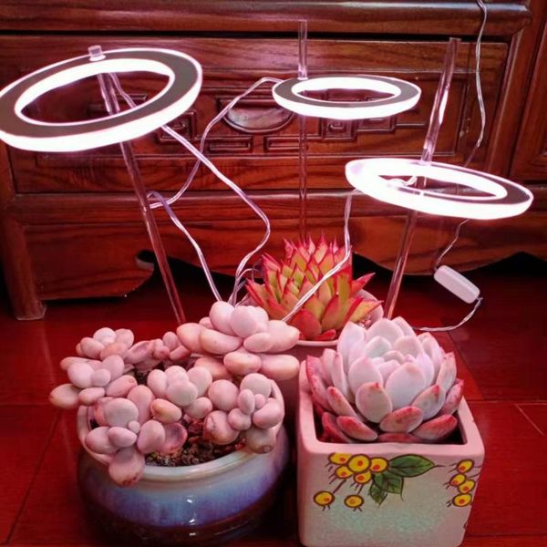 usb angel ring plant grow light full spectrum phyto lamp for succulent sunlike indoor flower greenhouse seedling lights
usb angel ring plant grow light full spectrum phyto lamp for succulent sunlike indoor flower greenhouse seedling lights