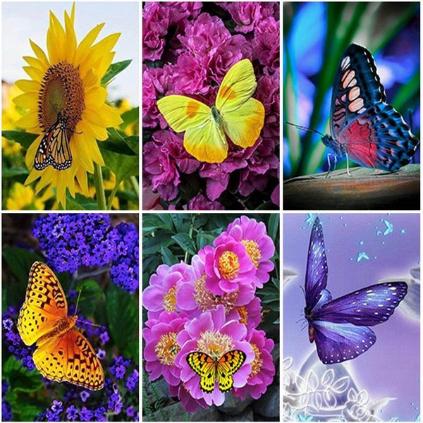 diamond painting arrival diy flower embroidery butterfly full square round mosaic rhinestone home decor
diamond painting arrival diy flower embroidery butterfly full square round mosaic rhinestone home decor