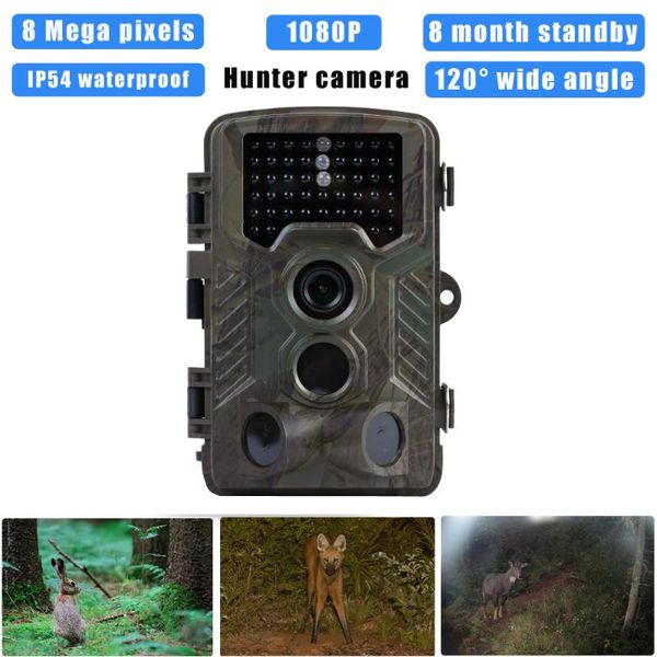 hunting camera hd 8mp support 1080p video night version scouting trail flower surveillance waterproof ip cameras
hunting camera hd 8mp support 1080p video night version scouting trail flower surveillance waterproof ip cameras