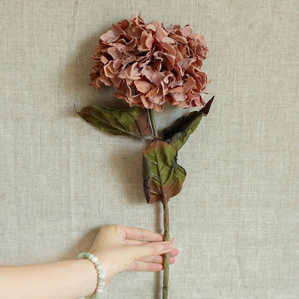 decorative flowers & wreaths dried looking hydrangea branch with leaves silk artificial for home wedding decoration pography props flores
decorative flowers & wreaths dried looking hydrangea branch with leaves silk artificial for home wedding decoration pography props flores