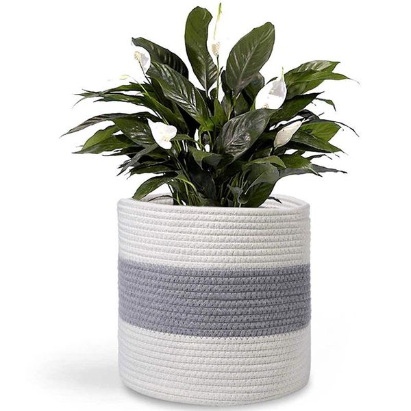 storage baskets cotton rope plant basket hand woven can store flower pots wardrobe box desktoy holder
storage baskets cotton rope plant basket hand woven can store flower pots wardrobe box desktoy holder