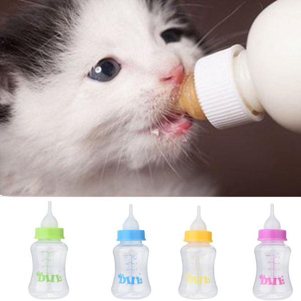 dog bowls & feeders pet cat milk bottle puppy kitten baby animal feeding nursing set interactive products 150ml pink,blue
dog bowls & feeders pet cat milk bottle puppy kitten baby animal feeding nursing set interactive products 150ml pink,blue
