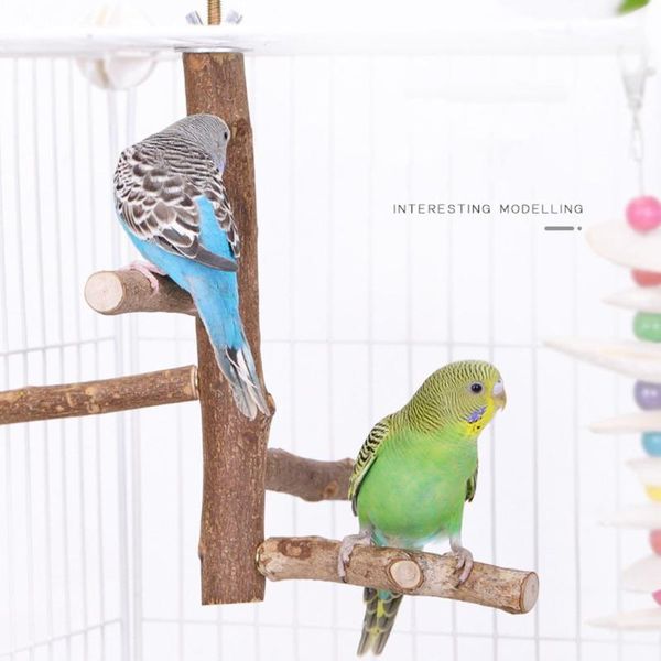 other bird supplies natural wild prickly pear tree stick for myna thrush parrot standing perching
other bird supplies natural wild prickly pear tree stick for myna thrush parrot standing perching