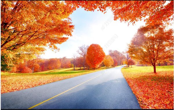 wallpapers custom po 3d mural wallpaper fantasy autumn landscape maple forest idyllic background wall decoration
wallpapers custom po 3d mural wallpaper fantasy autumn landscape maple forest idyllic background wall decoration
