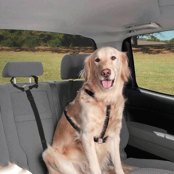 pet traction rope universal cats dogs safety adjustable car seat belt harness leash puppy seat-belt travel clip strap leads dog collars & le
pet traction rope universal cats dogs safety adjustable car seat belt harness leash puppy seat-belt travel clip strap leads dog collars & le