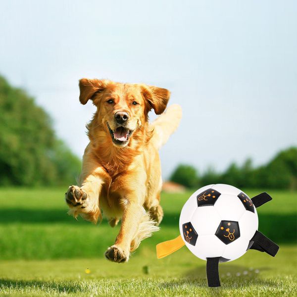 outdoor indoor pet dog toy ball interactive multifunctional rope training football
outdoor indoor pet dog toy ball interactive multifunctional rope training football