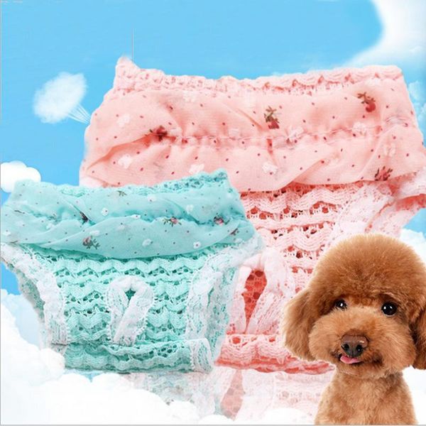 dog apparel pet chiffon physiological pants puppy cat underwear suspender cute shorts diaper sanitary for female
dog apparel pet chiffon physiological pants puppy cat underwear suspender cute shorts diaper sanitary for female