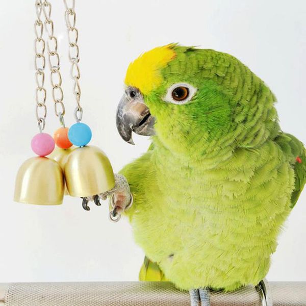 other bird supplies pet parrot toys steel hanging bell cage for parrots squirrel funny chain swing toy cockatiel
other bird supplies pet parrot toys steel hanging bell cage for parrots squirrel funny chain swing toy cockatiel