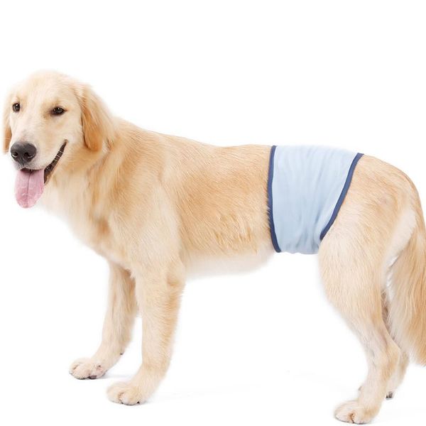 dog apparel pet male diaper toilet training washable belly band nappy physical pant clothes for accessories
dog apparel pet male diaper toilet training washable belly band nappy physical pant clothes for accessories