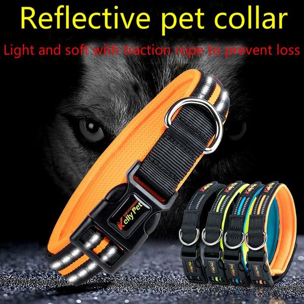 dog collars & leashes collar direct reflective with buckle adjustable safety nylon for dogs small medium large
dog collars & leashes collar direct reflective with buckle adjustable safety nylon for dogs small medium large