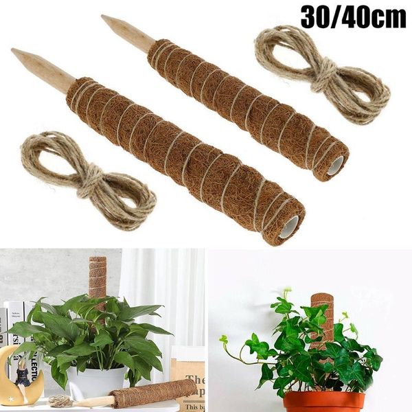 other garden supplies indoor plants 30 cm/40 cm coir moss stick totem pole for creepers plant support
other garden supplies indoor plants 30 cm/40 cm coir moss stick totem pole for creepers plant support
