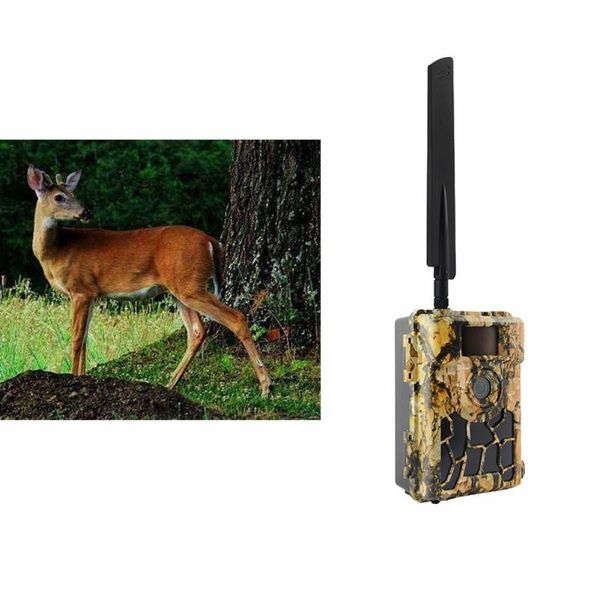hunting cameras 24mp 4g wireless hunt camera support po video digital mms data transmission 4.8cg infrared tree night vision abs shell
hunting cameras 24mp 4g wireless hunt camera support po video digital mms data transmission 4.8cg infrared tree night vision abs shell