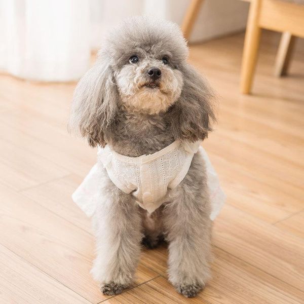 dog apparel cat clothes little daisy princess dress summer thin section teddy bear small skirt breathable clothing
dog apparel cat clothes little daisy princess dress summer thin section teddy bear small skirt breathable clothing