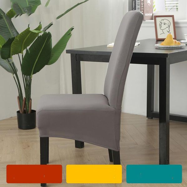 velvet extra large xl dining chair cover stretch elastic long back slipcover case for chairs kitchen banquet covers
velvet extra large xl dining chair cover stretch elastic long back slipcover case for chairs kitchen banquet covers