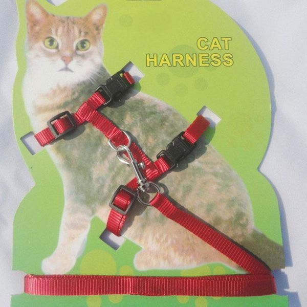 cat collars & leads young dog collar chest lead leash traction rope kitten pet harness adjustable 3 colors (no package)
cat collars & leads young dog collar chest lead leash traction rope kitten pet harness adjustable 3 colors (no package)